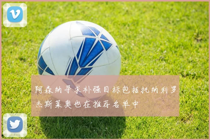 阿森纳寻求补强目标包括托纳利罗杰斯莱奥也在推荐名单中